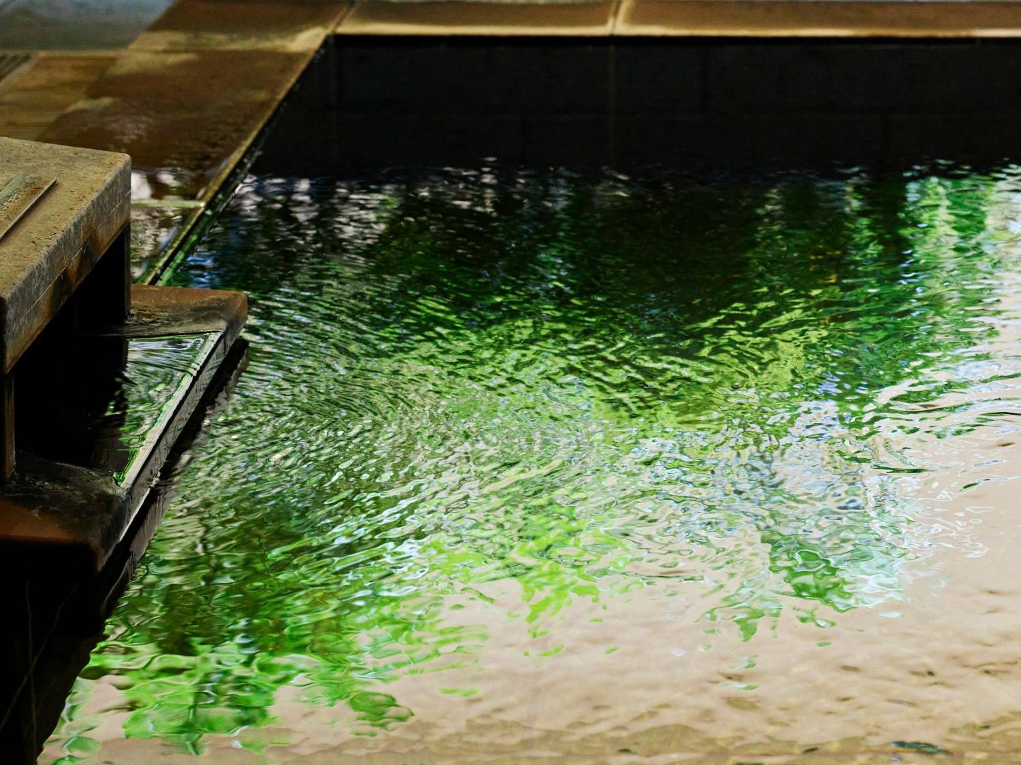 Mitsui Garden Hotel Kashiwa-No-Ha - Chiba Dış mekan fotoğraf